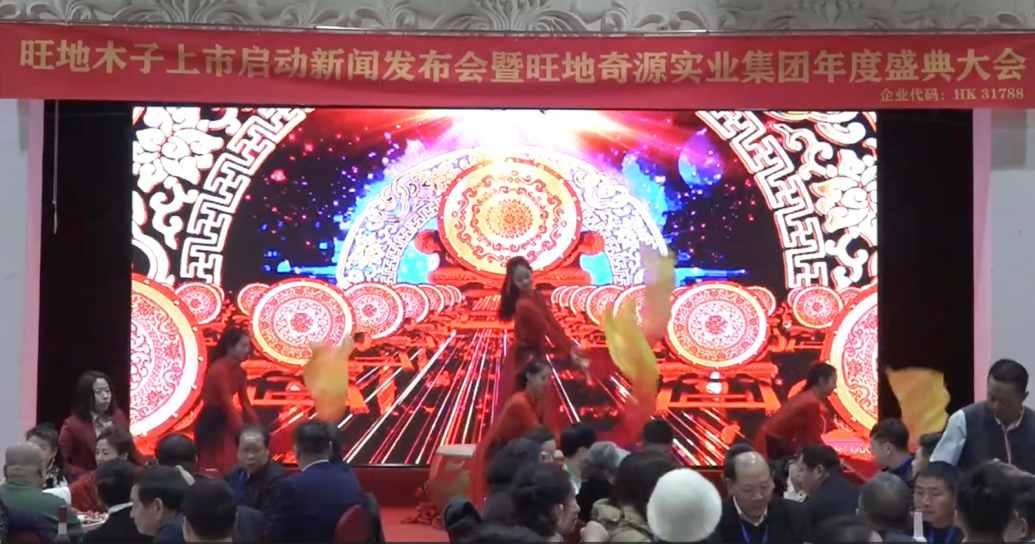 旺地奇源實(shí)業(yè)集團(tuán)年度盛典大會(huì)